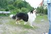 2009-08-15_ntb_5089
