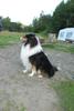 2009-08-15_ntb_5090