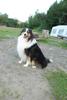 2009-08-15_ntb_5091