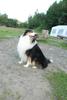 2009-08-15_ntb_5092