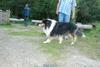 2009-08-15_ntb_5094