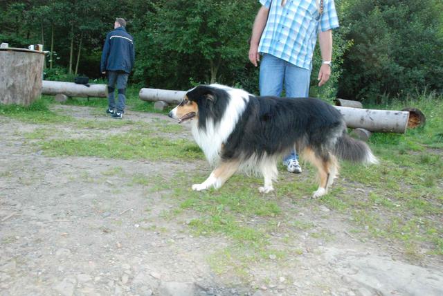 2009-08-15_ntb_5094
