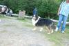 2009-08-15_ntb_5095