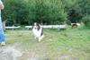 2009-08-15_ntb_5096