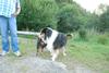 2009-08-15_ntb_5097