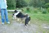 2009-08-15_ntb_5098