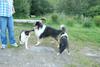 2009-08-15_ntb_5099