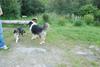 2009-08-15_ntb_5100