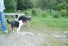 2009-08-15_ntb_5101