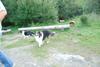 2009-08-15_ntb_5102