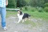 2009-08-15_ntb_5103