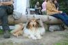 2009-08-15_ntb_5112