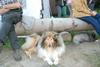 2009-08-15_ntb_5113