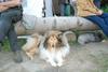 2009-08-15_ntb_5114