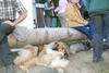 2009-08-15_ntb_5115
