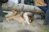 2009-08-15_ntb_5116