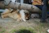 2009-08-15_ntb_5117