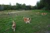 2009-08-15_ntb_5118