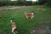 2009-08-15_ntb_5119