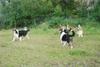 2009-08-15_ntb_5120