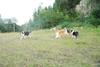 2009-08-15_ntb_5122
