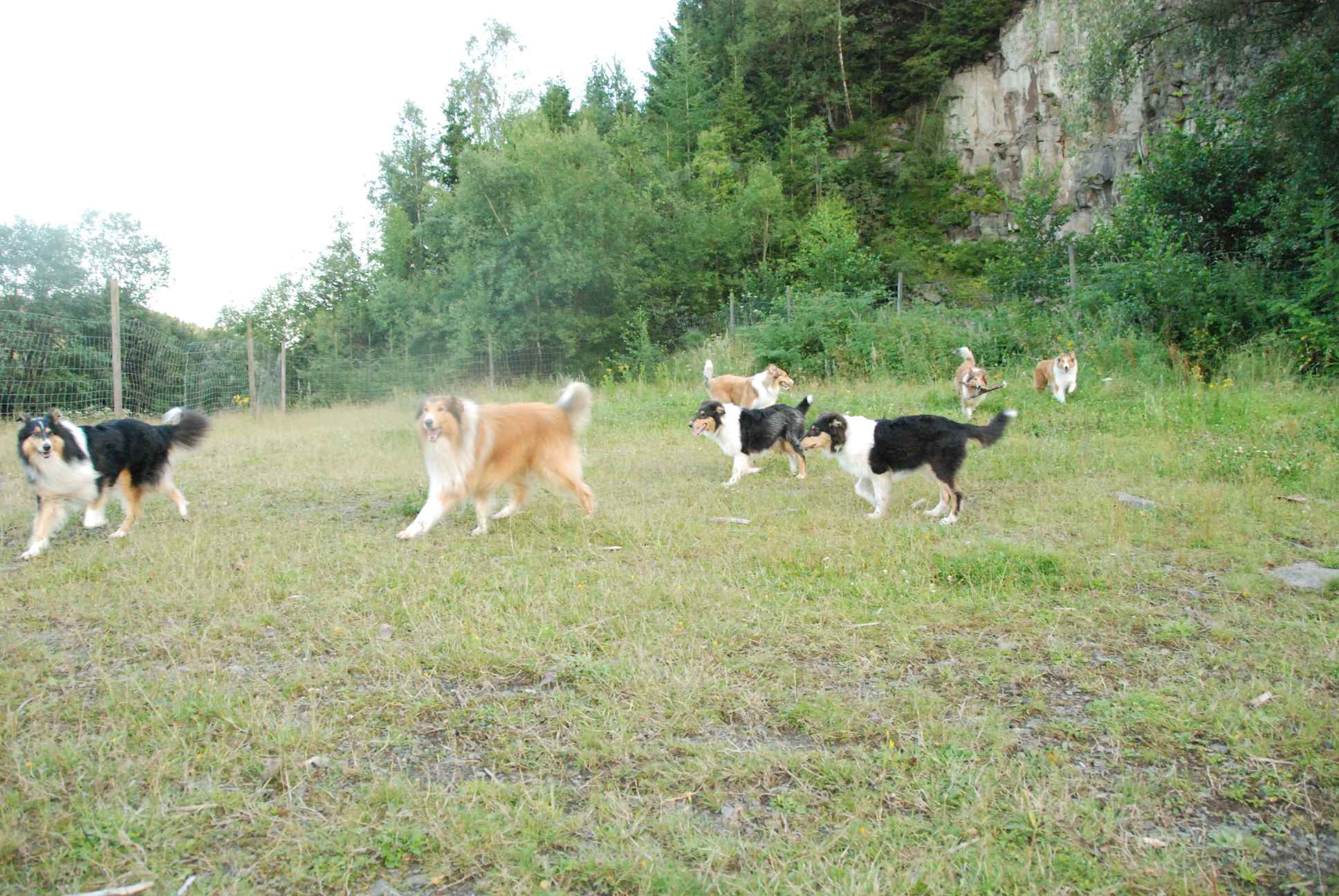 2009-08-15_ntb_5123