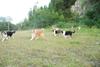 2009-08-15_ntb_5123