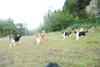 2009-08-15_ntb_5124