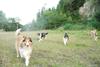2009-08-15_ntb_5126