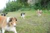 2009-08-15_ntb_5127