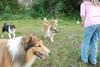 2009-08-15_ntb_5128