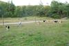 2009-08-15_ntb_5135