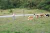 2009-08-15_ntb_5136