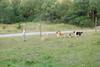 2009-08-15_ntb_5137