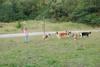 2009-08-15_ntb_5138
