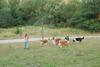 2009-08-15_ntb_5139