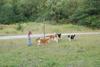 2009-08-15_ntb_5140