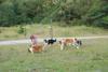 2009-08-15_ntb_5141