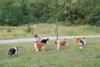 2009-08-15_ntb_5142