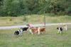 2009-08-15_ntb_5143