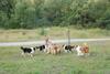 2009-08-15_ntb_5146