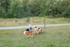 2009-08-15_ntb_5147
