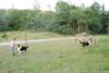 2009-08-15_ntb_5149