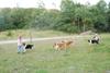2009-08-15_ntb_5150