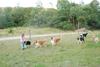 2009-08-15_ntb_5151