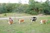 2009-08-15_ntb_5152