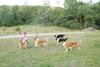 2009-08-15_ntb_5153