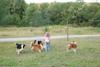 2009-08-15_ntb_5155