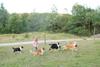 2009-08-15_ntb_5158