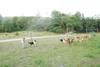 2009-08-15_ntb_5160